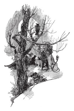 Toplama, hayvanlar bu sahne şovları tavşan, aslan, kartal, tüm çevresinde ağaç baykuş, vintage çizgi çizme veya oyma illüstrasyon tarafından düzenlenen bir toplantı için toplanan 