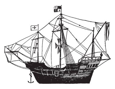 Bu kum mavi çim olarak bilinen bu bitki yaprakları çok uzun ve ince ve küçük, vintage çizgi çizme veya oyma illüstrasyon kökleri vardır.