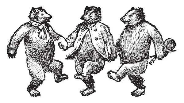 Három Medve Tánc Kép Azt Mutatja Három Medve Együtt Táncolni — Stock Vector