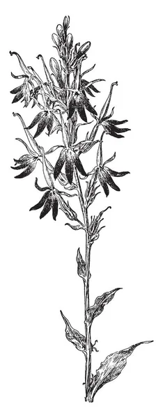 Immagine Che Mostra Gruppo Cellule Petalo Viola Tricolore Disegno Linee — Vettoriale Stock