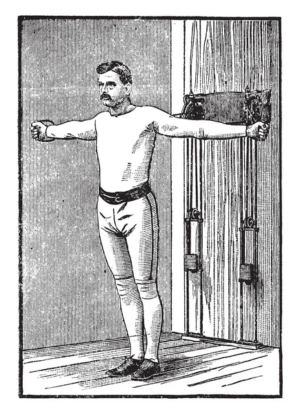 Homme Faisant Exercice Thoracique Tirant Des Poids Gardant Ses Deux — Image vectorielle