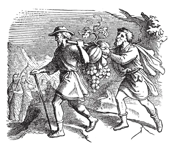 两个男人背着一大堆葡萄在他们的肩膀上 借助长棍 一些人可以看到在背景 复古线画或雕刻插图 — 图库矢量图片