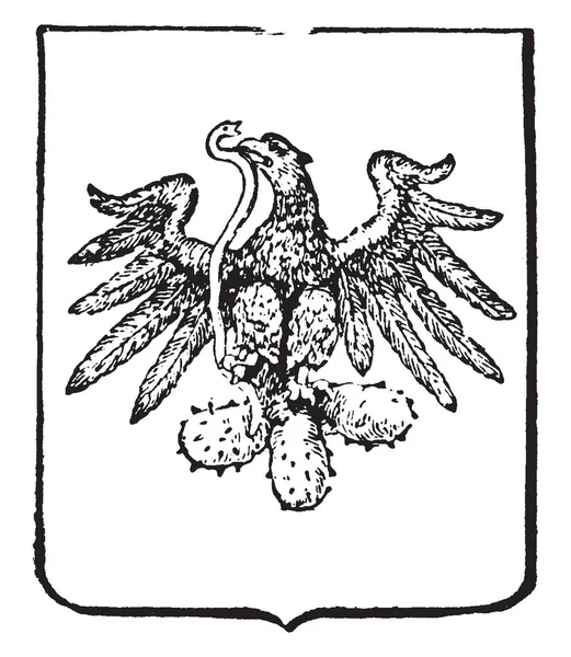 Мексиканский Герб Южноамериканское Пальто Рисунок Винтажной Линии Гравировка — стоковый вектор
