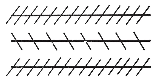 幻想的な光が競争でアクティブになる別の暗い受容体 マッハ バンド ビンテージの線描画や彫刻イラストを表示しているとき それは色差の端 — ストックベクタ