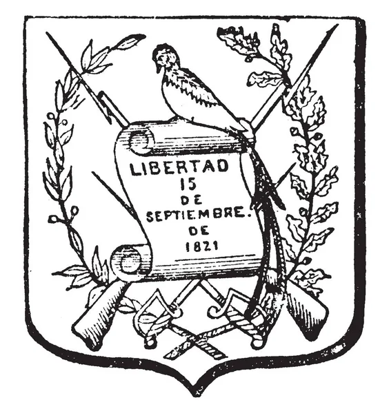 Escudo de Armas Guatemalteco tiene pájaro y bayoneta, grabado vintage — Archivo Imágenes Vectoriales
