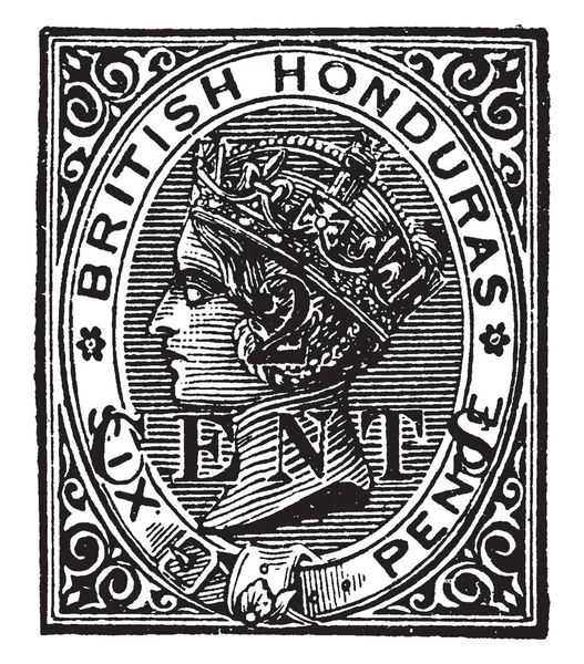 Cette Illustration Représente Honduras Britannique Six Pence Timbre 1888 Dessin — Image vectorielle