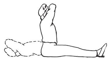 Bu ortak muz spike olduğunu. Spike uzun ve ince, vintage satır çizim veya gravür illüstrasyon.