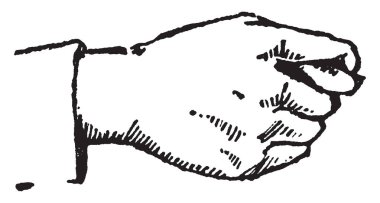 Ticaret işareti split özlü sözler, vintage çizgi çizme veya oyma illüstrasyon.