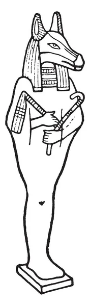 在这个形象埃及黑暗的上帝 Anubis 有一个独特的杰克头 复古线画或雕刻插图 — 图库矢量图片