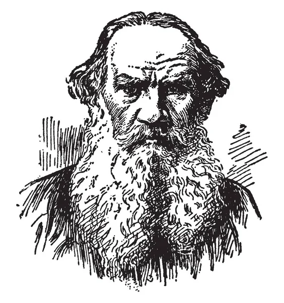 Resmi ortak Speedwell çiçekli bitki gösterir. Figwort ailesine ait ve borulu soluk mavi menekşe çiçek ile eşitsiz boyut ve 2 beyaz stamens, vintage çizgi çizme veya oyma illüstrasyon 4 yuvarlak lobları.