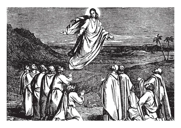 Cennet, vintage çizgi çizme veya oyma resimde İsa'nın yükselme bir görünümünü.