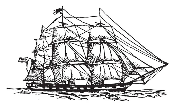 Milkwort olarak da bilinir olan Polygala çiçek görüntüdür. Bunlar Polygalaceae aile çiçekler, vintage çizgi çizme veya oyma illüstrasyon..