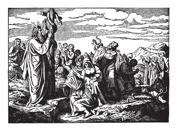 Musa Berdiri Dekat Pilar Mana Ular Besar Atasnya Orang Berkumpul - Stok Vektor