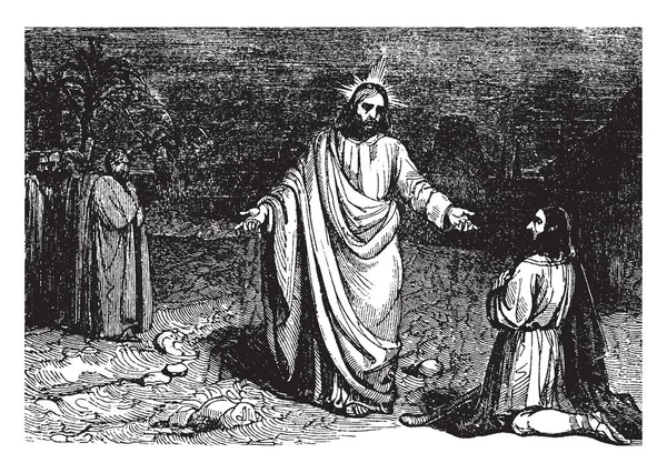 一个画面显示 耶稣带来雅露斯最近去世 岁的女儿回到生活中 耶稣握着女孩的手 因为她从床上抬起她的上半身 复古线画或雕刻插图 — 图库矢量图片