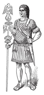 Kartal standart, vintage çizgi çizme taşıyan veya illüstrasyon oyma bir Aquilifer