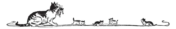 Banner Cat Tem Gato Mãe Seus Gatinhos Desenho Linha Vintage — Vetor de Stock