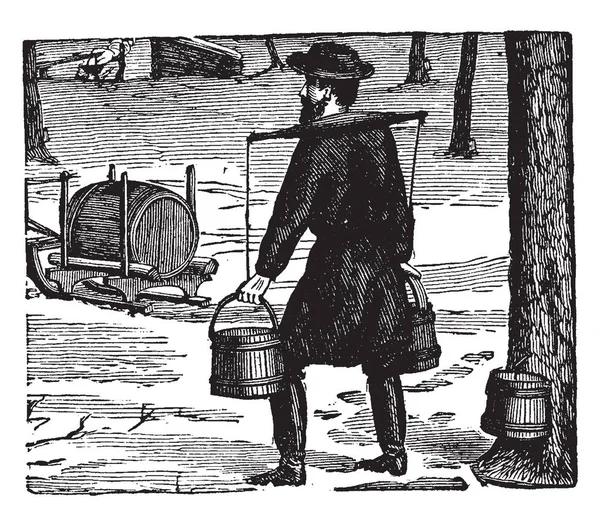 Cette Illustration Représente Gathering Sap Pour Réaliser Maple Sugar Dessin — Image vectorielle