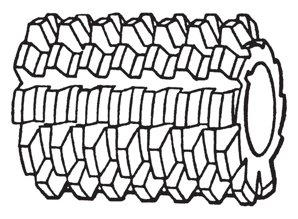 本插图代表齿轮滚刀 复古线图或雕刻插图的功能 — 图库矢量图片
