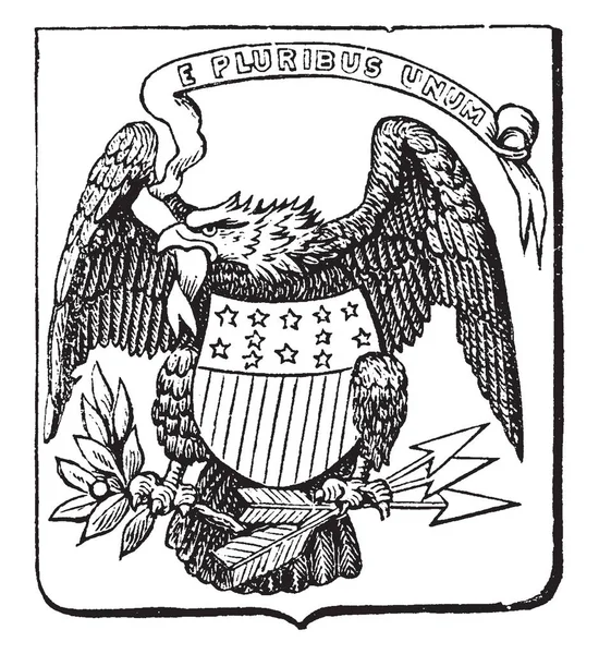 美国的伟大封印 1782 这个盾形封印有秃头老鹰以格言 众众有盾牌与星和条纹在它的胸口 并且持有橄榄枝和箭头 复古线绘画或雕刻例证 — 图库矢量图片