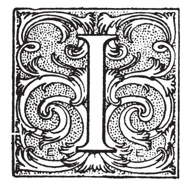 Bir çiçek büyük harf ben, vintage çizgi çizme veya oyma illüstrasyon