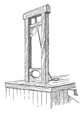 Productus Nebrascensis ve Athyris subtilita, vintage çizgi çizme veya oyma illüstrasyon Karbonifer gelen antik yumuşakçalar yaş.