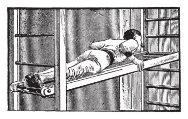 Alfred Russel Wallace, İngiliz doğa bilimci, explorer, coğrafyacı, antropolog ve biyolog, vintage çizgi çizme veya oyma illüstrasyon o 1823-1913, yapıldı