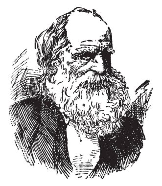 William Cullen Bryant, 1794-1878, o ilk Amerikan şair, gazeteci ve New York evening Post'un, Thanatopsis, vintage çizgi çizme veya oyma illüstrasyon yazarı Editör yapıldı.