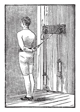 Bu resimde Semisagittate işareti, vintage çizgi çizme veya oyma illüstrasyon temsil eder..