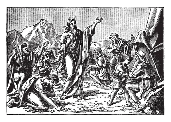 Musa Nın Eski Bir Resim Onlar Onları Doyurmak Için Tanrı — Stok Vektör
