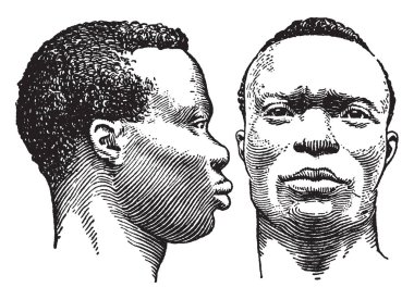 İki zenci adam, vintage çizgi çizme veya oyma illüstrasyon yüzler