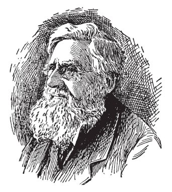 Yaşlı kadın ve hayvan, bu sahne arkasında köpek ve stile üzerine bir domuz gösterir, kova bırakarak sıvı köpek, eski kadın ateş ve kova, vintage çizgi çizme veya oyma illüstrasyon arkasında duran inek
