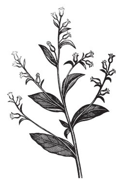 Aşağı dışında ev, vintage çizgi çizme ayakta veya illüstrasyon oyma üç adamın önünde diz çökmüş bir adam