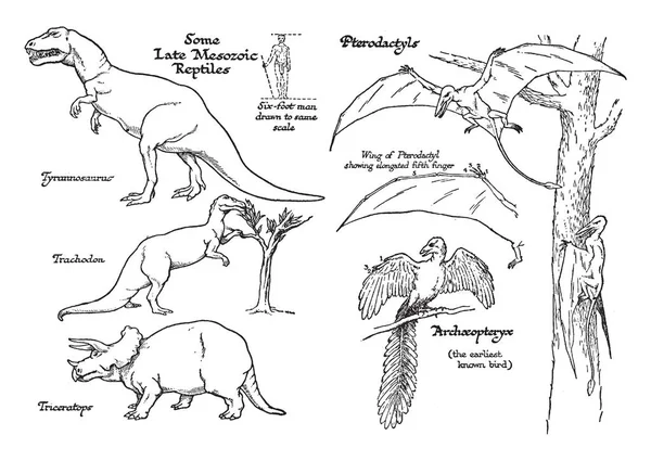 Esta Ilustración Representa Reptiles Edad Mesozoica Tardía Dibujo Líneas Vintage — Vector de stock