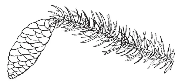 Insegnante Che Indica Luogo Aula Insegnante Geografia Insegnante Storia Disegno — Vettoriale Stock