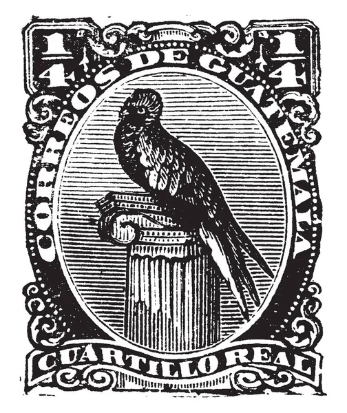 这个插图代表危地马拉 Cuartillo 真实邮票在 1879年 复古线画或雕刻插图 — 图库矢量图片