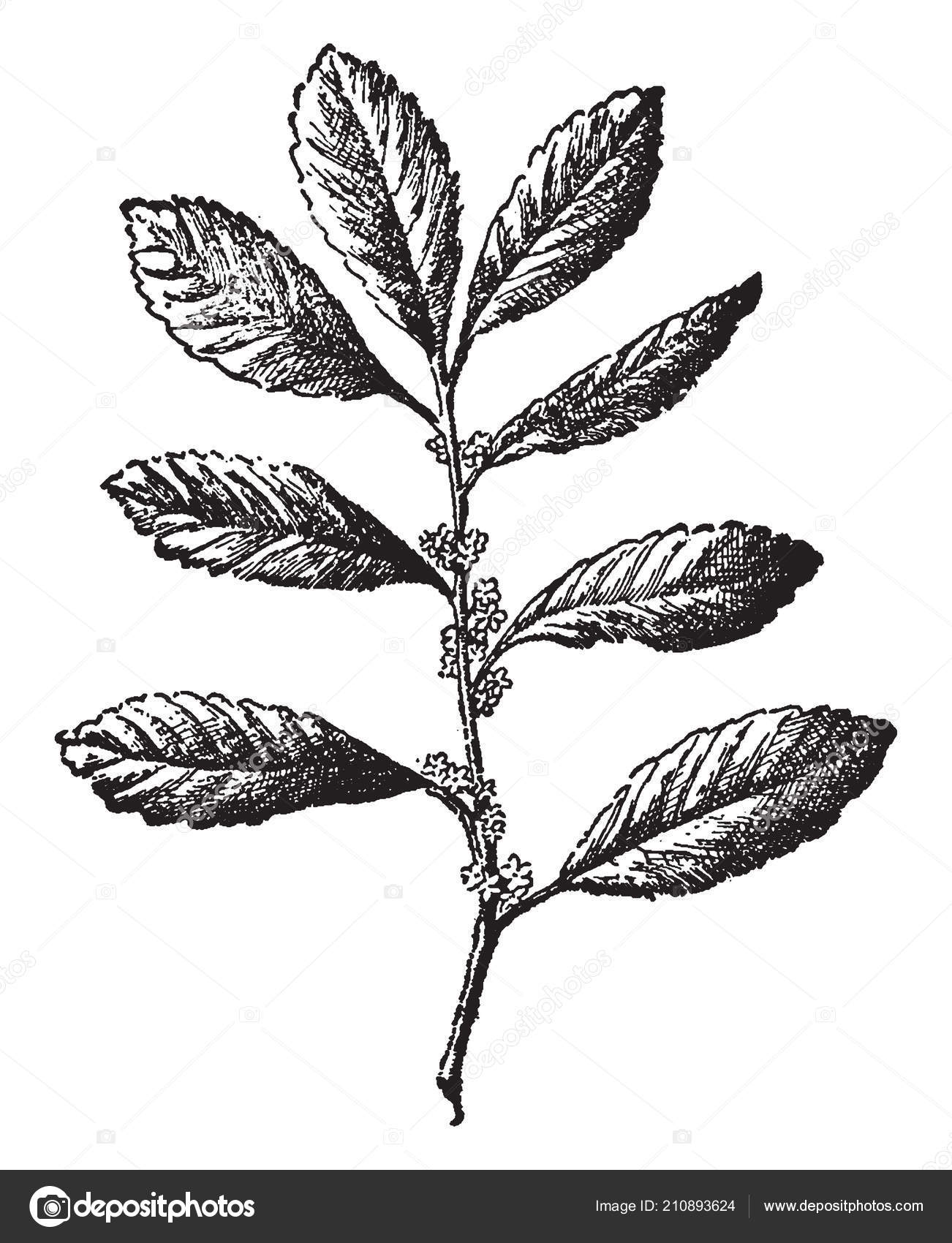 leg spread exercise machine