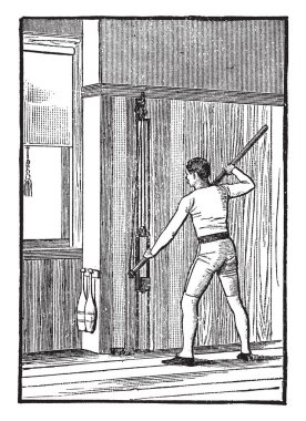 Bu sarı Melilot bir bitkidir. Yaprak kök üzerinde alternatif ve üç broşürler sahip. Çiçekler sarı renk, vintage çizgi çizme veya oyma illüstrasyon.