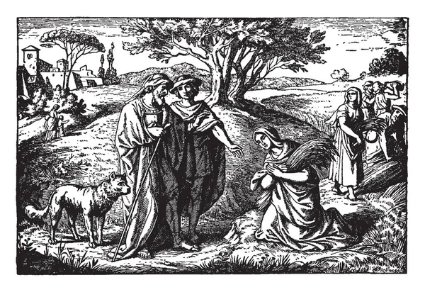 Цій Ілюстрації Представляє Рут Відповідає Боаз Недобрав Поля Урожай Штриховий — стоковий вектор