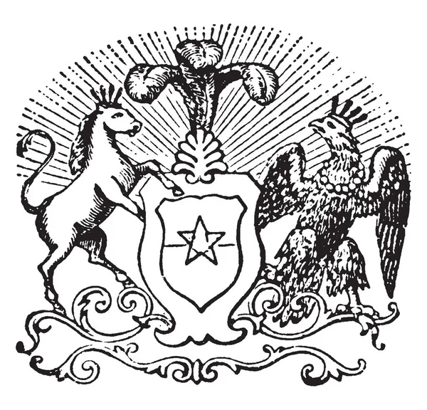 Das Chilenische Wappen Besteht Aus Einem Figurativen Hintergrund Der Zwei — Stockvektor