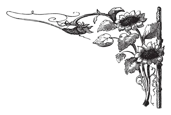 Sonnenblume Ecke Motiv Rechts Seite Design Haben Drei Sonnenblumen Diesem — Stockvektor