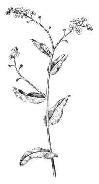 Bir kabile, vintage çizgi çizme veya oyma illüstrasyon bir sembolü olarak bir korkuluk.