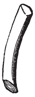 Yaprak şeklinde bir keman bu. Yaprak uzun, üst tarafı alt bölümündeki geniş ve orta yan çizim veya illüstrasyon oyma dar, vintage çizgi.