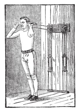 Bu mala yaprak şeklinde bir görüntüdür. Bu yaprak Mala, vintage çizgi çizme veya oyma illüstrasyon benziyordu.