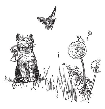 Kedi kelebek, izlerken bu sahne uçan hava, çiçek kedi, vintage çizgi çizme veya oyma illüstrasyon yakınındaki bir kedi izlerken kelebek gösterir.