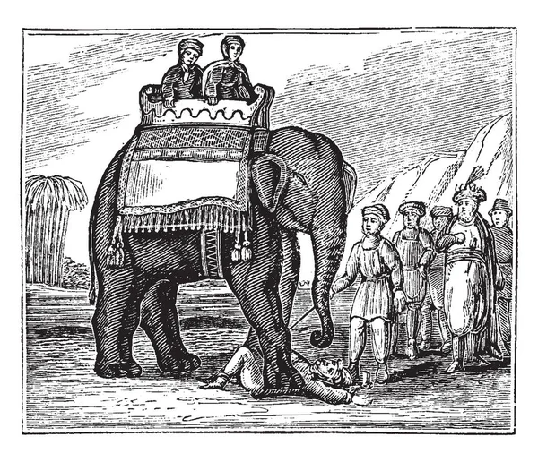 Αυτοκράτορας Του Moguls Όπου Γονείς Ήταν Τοποθετημένα Για Τον Ελέφαντα — Διανυσματικό Αρχείο