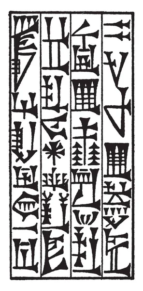 Cripta Cuneiforme Escritura Sumerios Antiguos Marcas Forma Cuña Dibujo Línea — Vector de stock