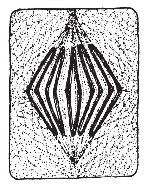 シャルル グノー 1818 1893 彼はフランスの作曲家 バッハ として彼のオペラ ファウスト ビンテージの線描画や彫刻イラストでの作業に基づいて 彼のアヴェ — ストックベクタ