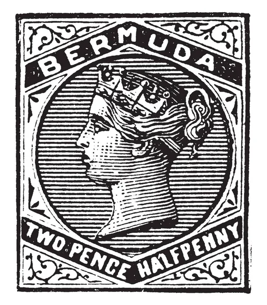 这个例证代表百慕大二便士便士邮票从1884年到 1886 复古线图画或雕刻例证 — 图库矢量图片