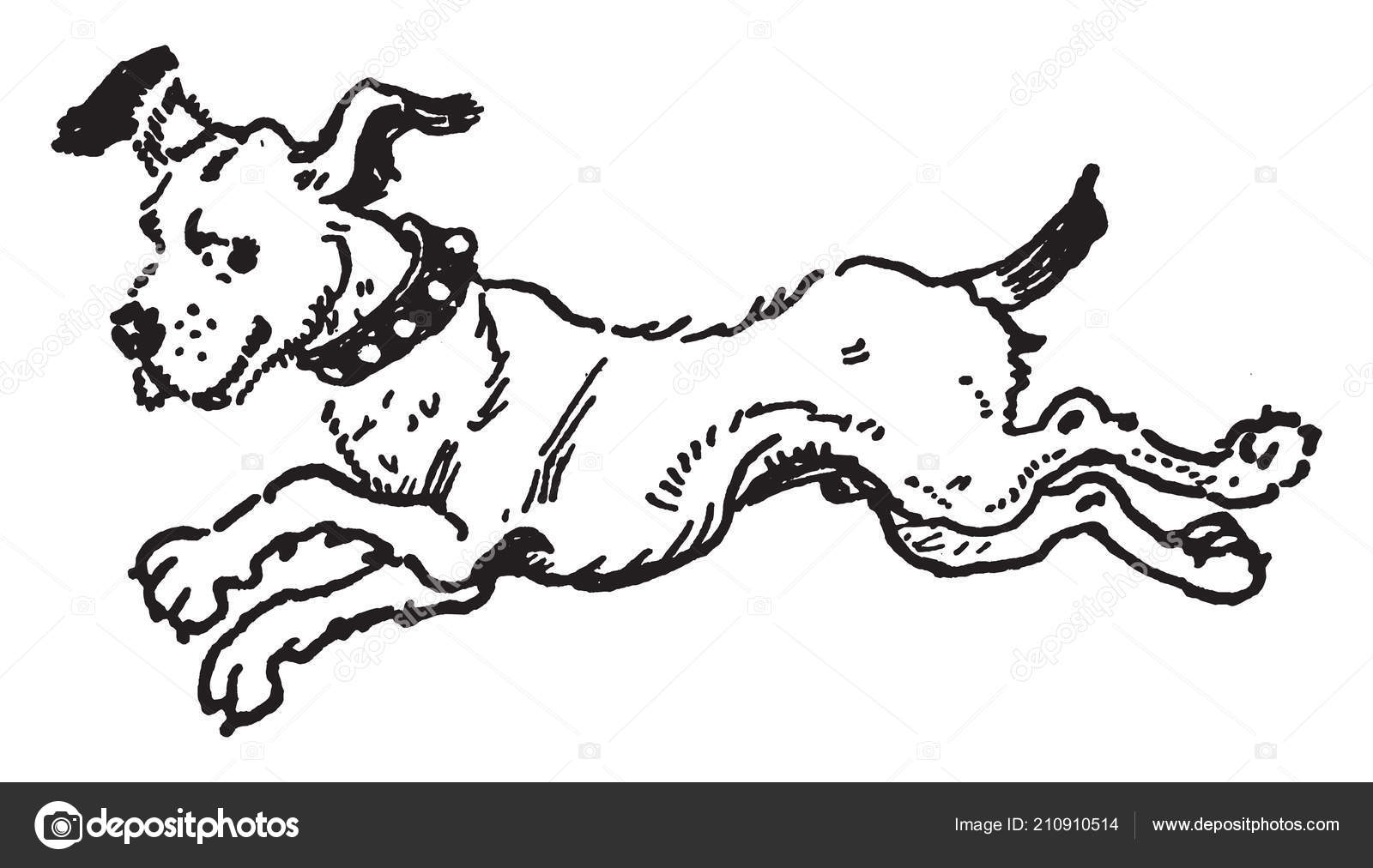 Illustration Represents Dog Running Vintage Line Drawing Engraving Illustration Stock Vector C Morphart 210910514