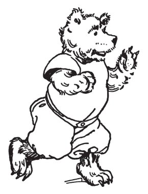 Yavru ayı, bu resmi yüz, vintage çizgi çizme veya oyma illüstrasyon korkunç ifadeler ile çalışan insan elbiseli bir yavru ayı gösterir